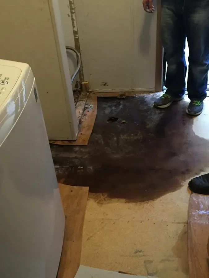 Technician standing beside a wet floor and a blue extraction hose